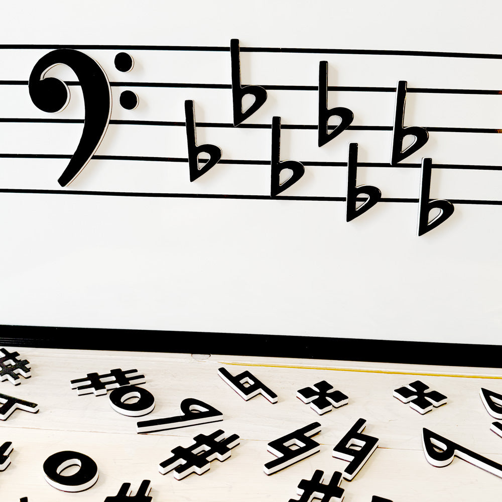 Magnetic Accidentals and Notes Set