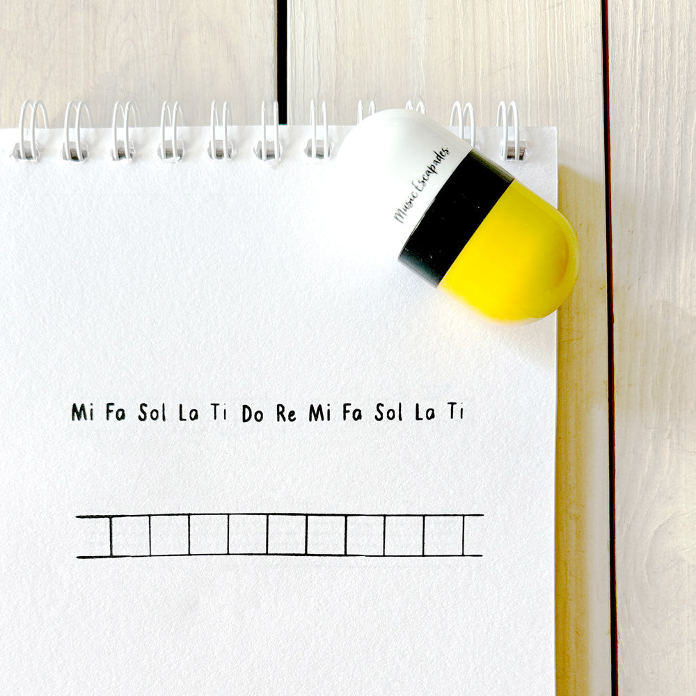 Solfege Syllables and Squares Roller Stamp (Double sided)